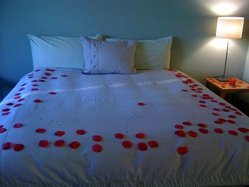 Modern Bed and breakfast